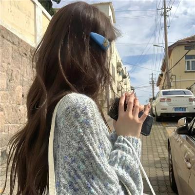 迎风而立的狮子封面